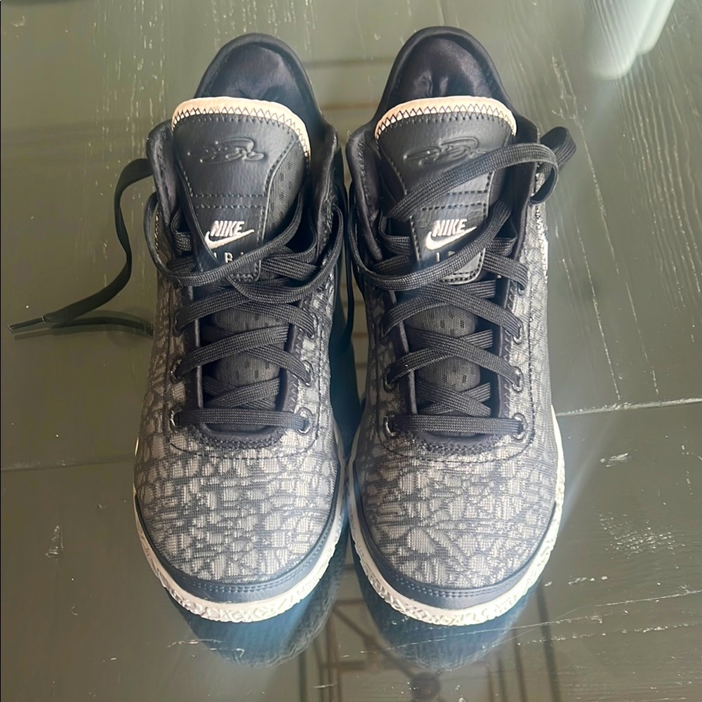 Nike Zoom LeBron NXXT Gen Grey and Black